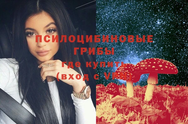 гашик Гусь-Хрустальный