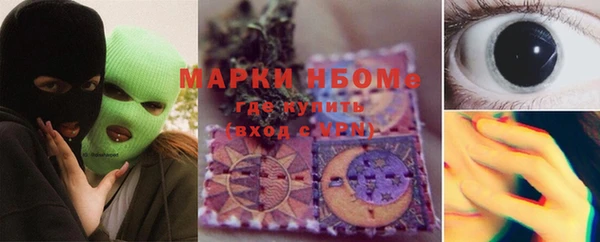 гашик Гусь-Хрустальный