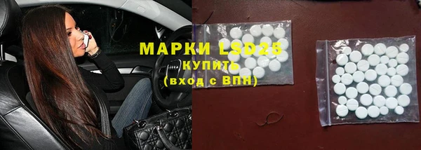 гашик Гусь-Хрустальный