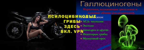 сатива Гусиноозёрск