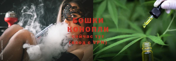 сатива Гусиноозёрск