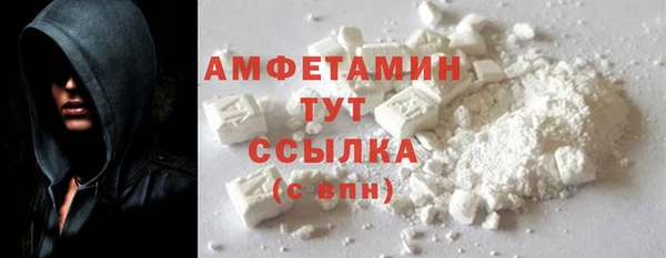 гашик Гусь-Хрустальный