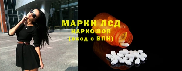 сатива Гусиноозёрск