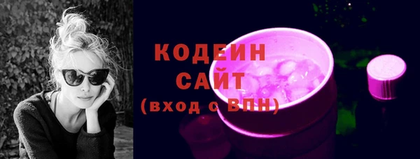 гашик Гусь-Хрустальный