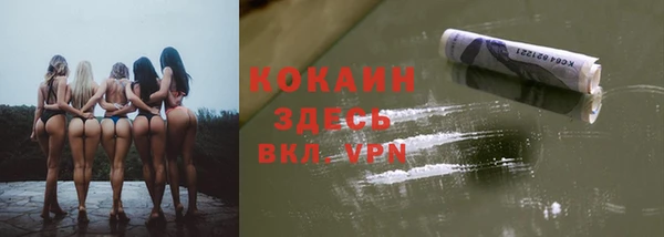сатива Гусиноозёрск