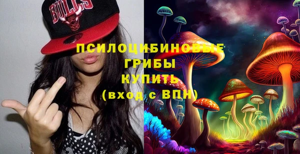 гашик Гусь-Хрустальный
